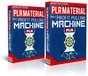 Turn Your PLR Material Into Profit Pulling Machines Cover