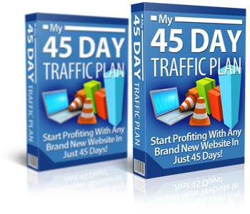 45 Day Traffic Plan Complete Traffic Generation Workshop Cover